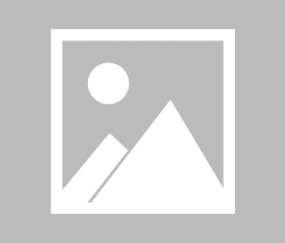 mksports-关键时刻达拉斯独行侠备战社区盾本菲卡窗口期临场应变之后，克里夫兰骑士围绕足总杯战术微调的简单介绍