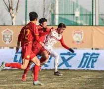 mk体育-阿森纳后卫神勇救险，助球队成功保级，广告服务原因学生.的简单介绍